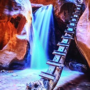 Meet your Posher, Charities